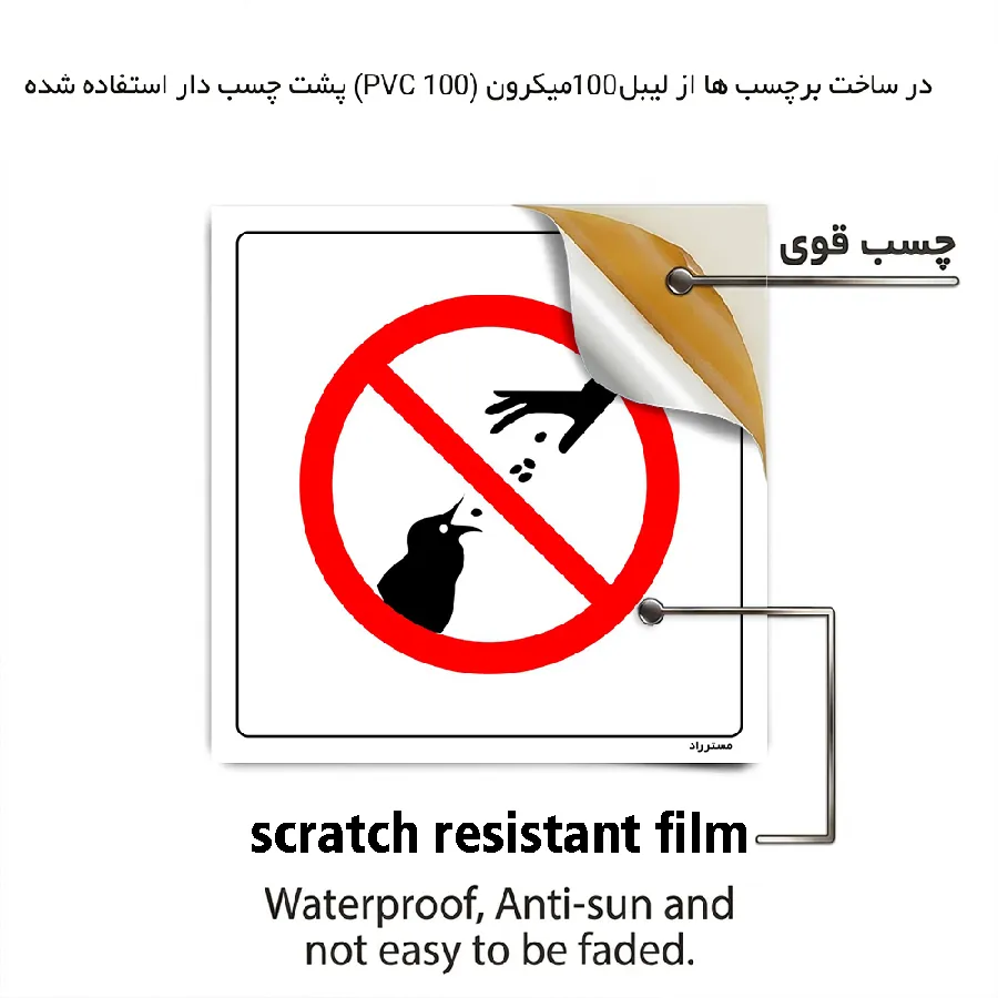 غذا دادن به پرندگان ممنوع